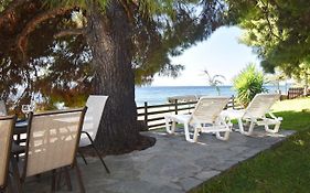 Barlee Beach Front House, Metamorfosi